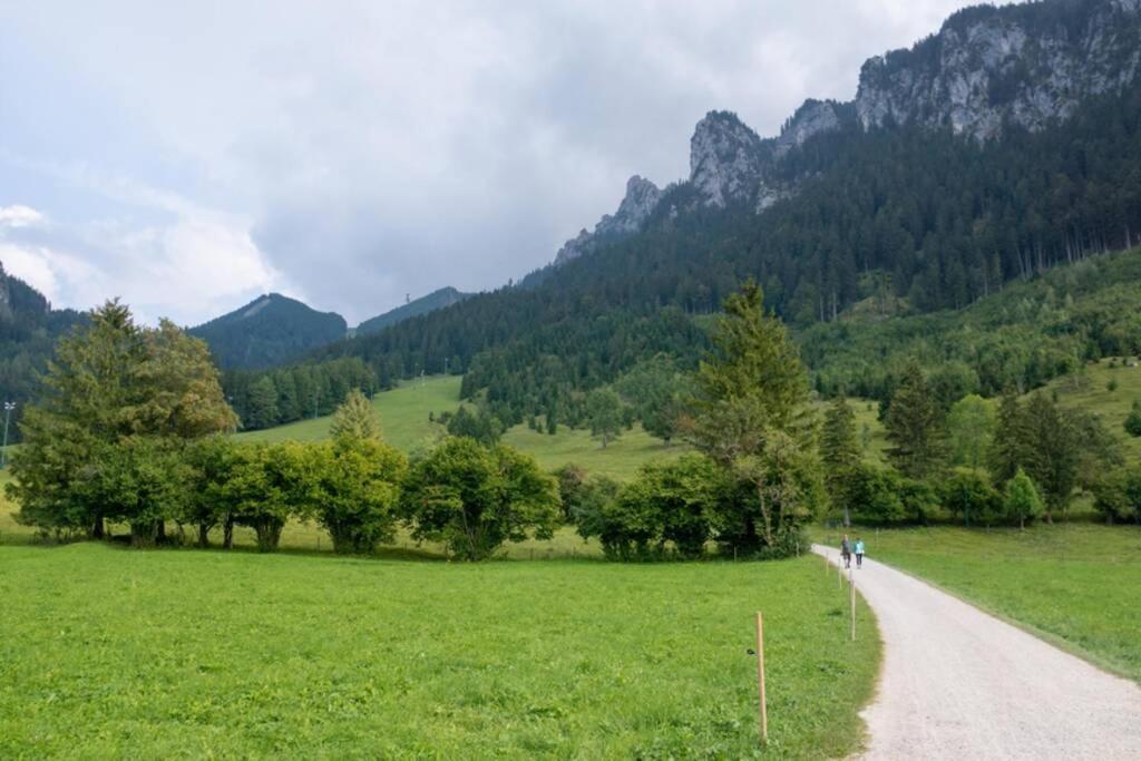 福森Neuschwanstein-Blick公寓 外观 照片