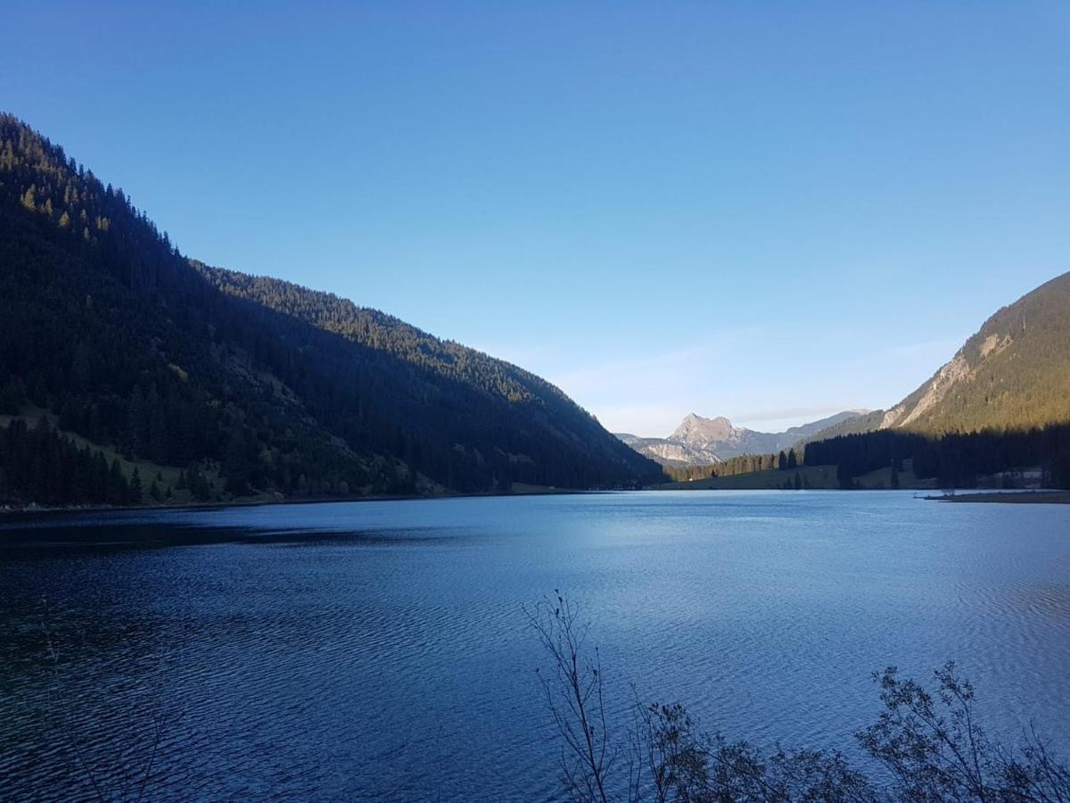 福森Neuschwanstein-Blick公寓 外观 照片